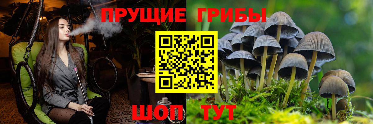Псилоцибиновые грибы мицелий Бугуруслан