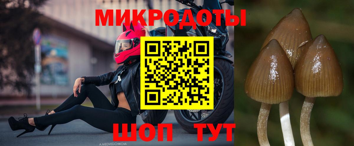 Псилоцибиновые грибы ЛСД  Вход с VPN  Галлюциногенные грибы мухоморы  Бугуруслан 